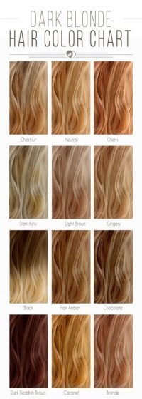 BLONDE HAIR COLOR CHART: THE SHADES KISSED BY THE SUN | Hera Hair Beauty