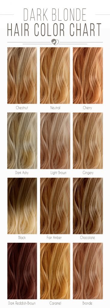 The Best Hair Color Chart with All Shades of Blonde, Brown, Red & Black