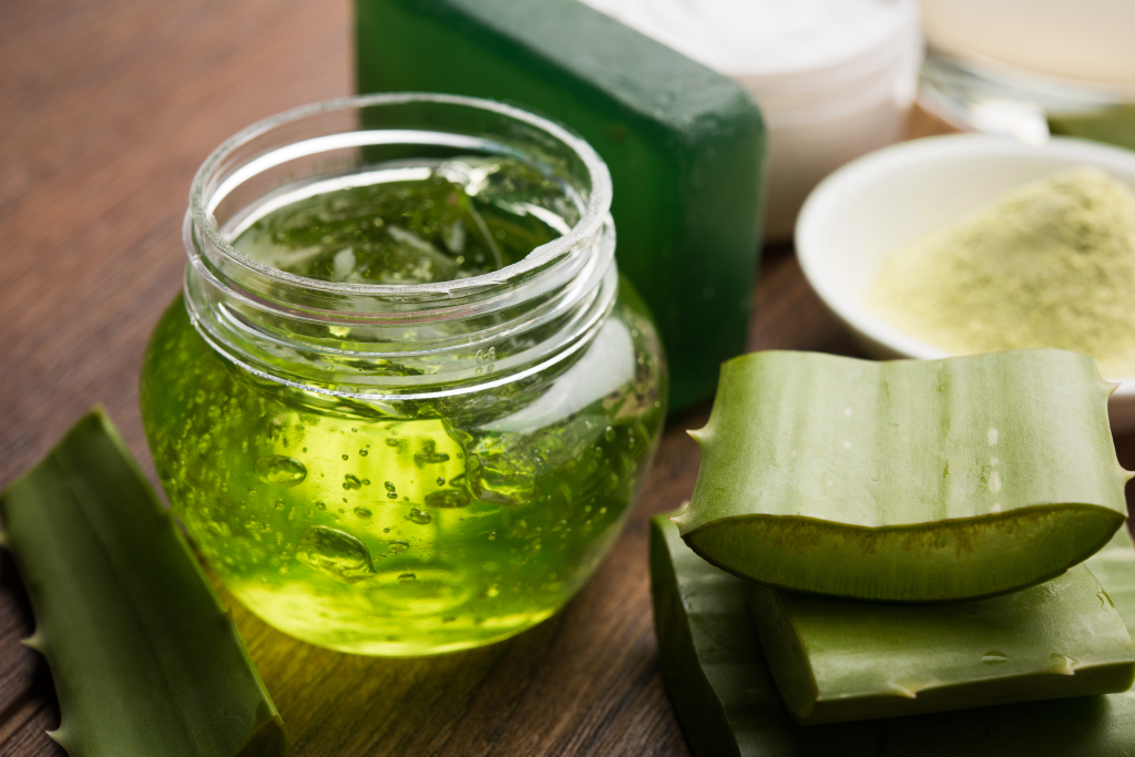 Understanding Aloe Vera Hair Mask Benefits And Making One Yourself 